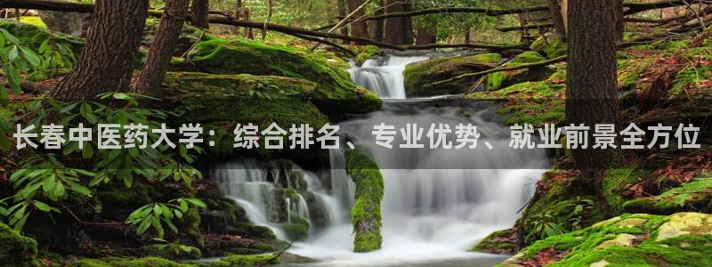 九游会agj9