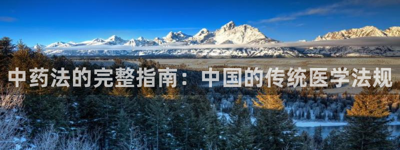 九游会是ag吗
