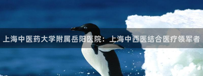 J9九游会app