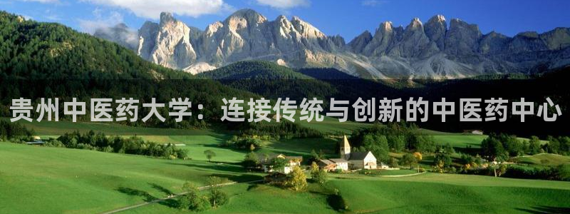 九游会中国j9 09.ag