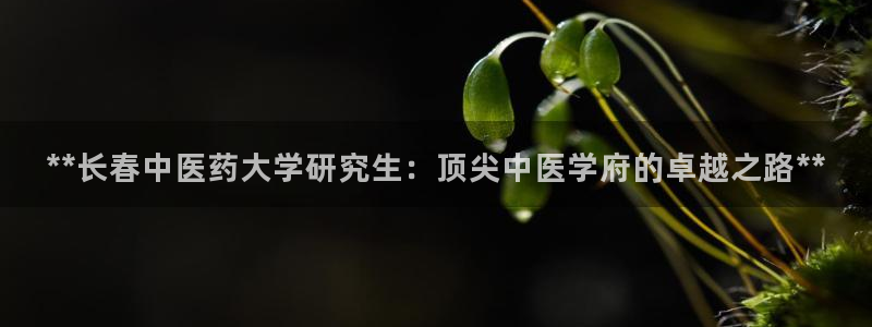 j9九游会首页入口试