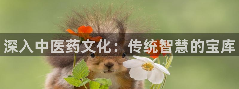 j9九游会真人游戏第一