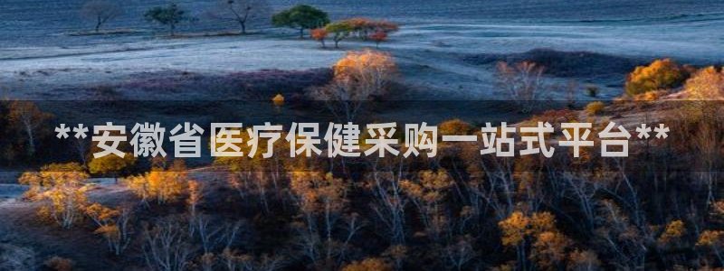 ag久游会