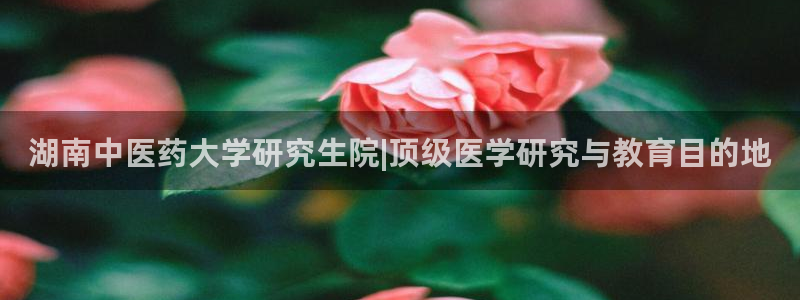 九游会国际厅登录 - j9九游会首页登录新版