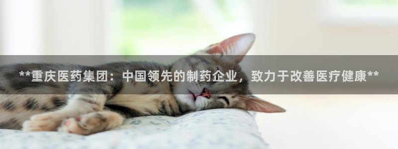 九游会进不去了
