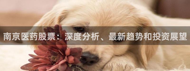 ag九游会