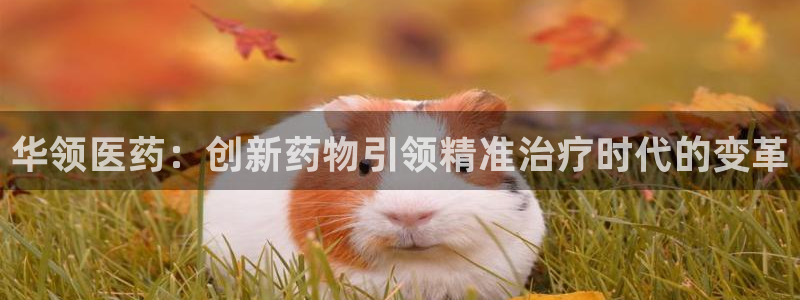 j9九游会
