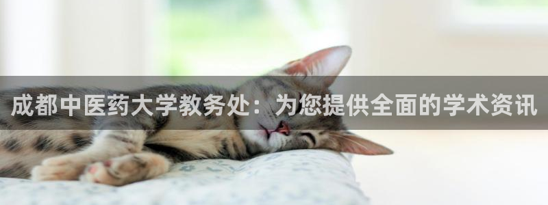 九游会官网站