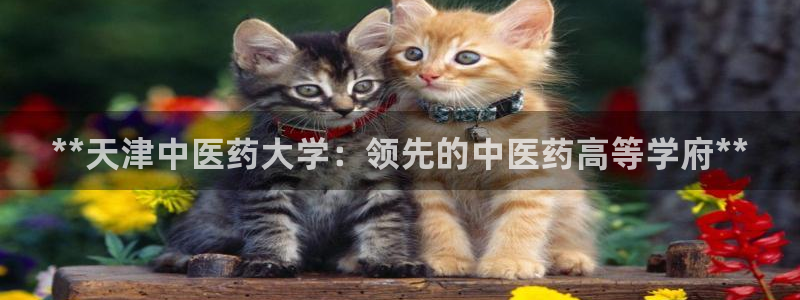 九游会app官方下载安卓