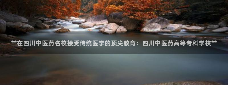 9游会app