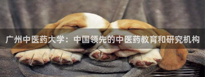 九游会J9登录入口