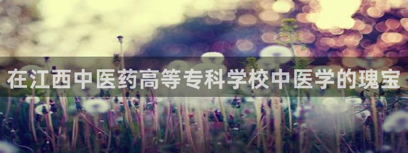 九游会跟ag是怎么一回事