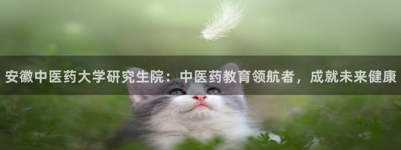 J9九游会网站