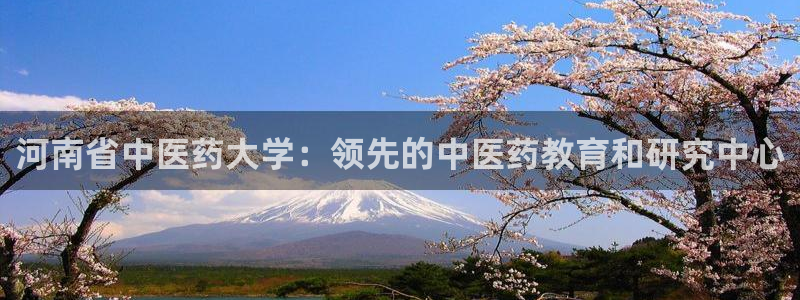 J9九游会俱乐部官方