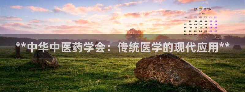 九游j9国际站