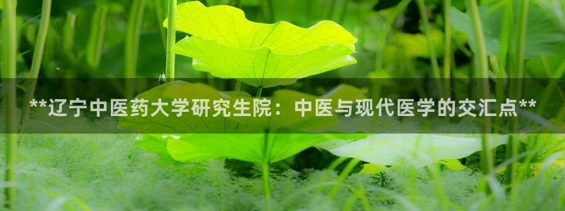 j9官网app