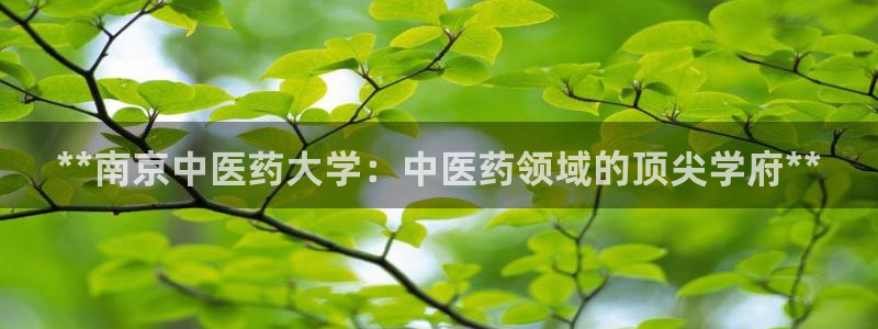 J9九游会是干嘛的