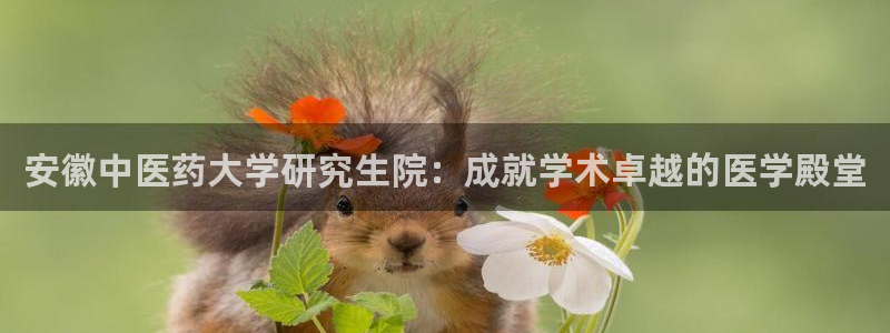 九游会官方链接