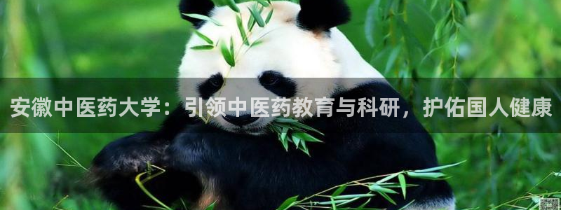 九游会老哥俱乐部官网首页