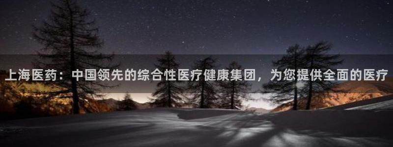 九游会集团货币