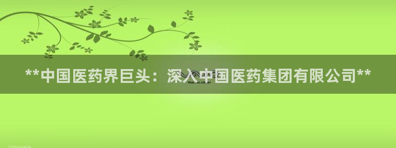 九游会中国官方网站