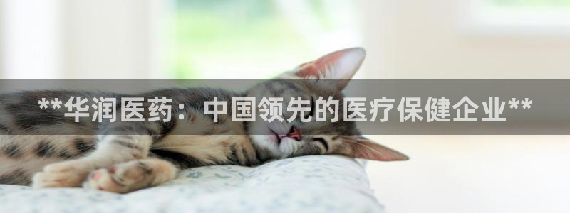 ag老玩家