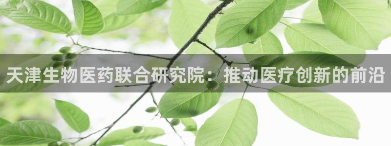 ag九游会老哥