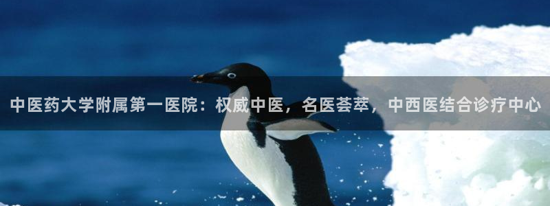 九游会j9