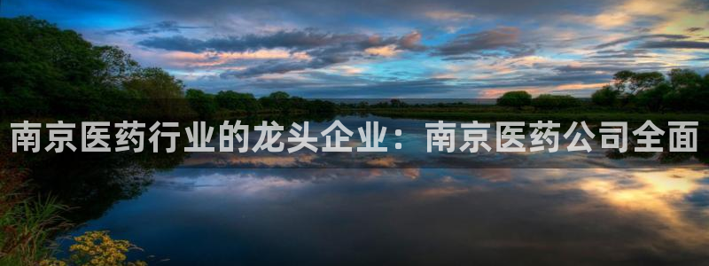 九游j9会