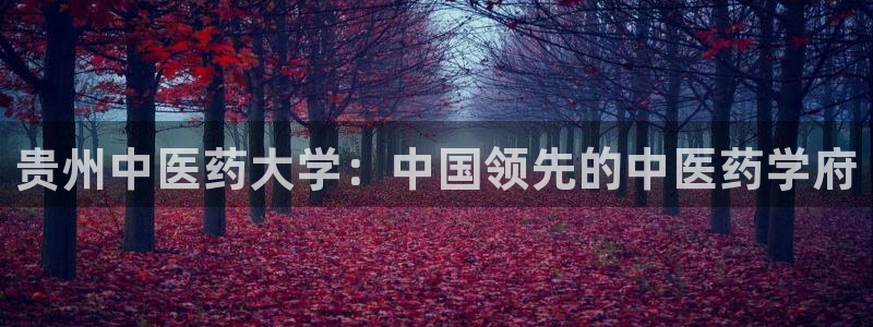 九游会官方登入
