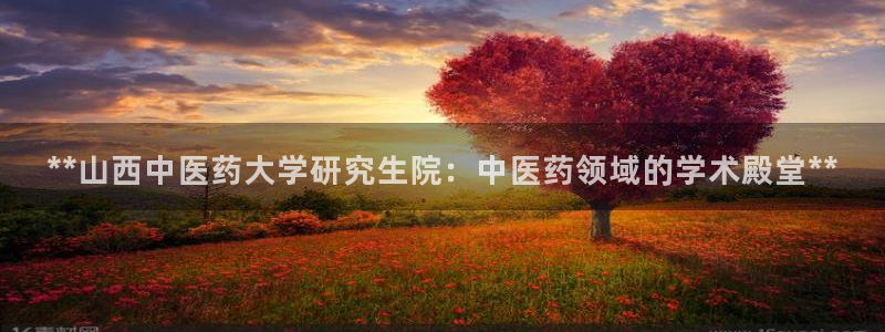 九游会中国入口嘛