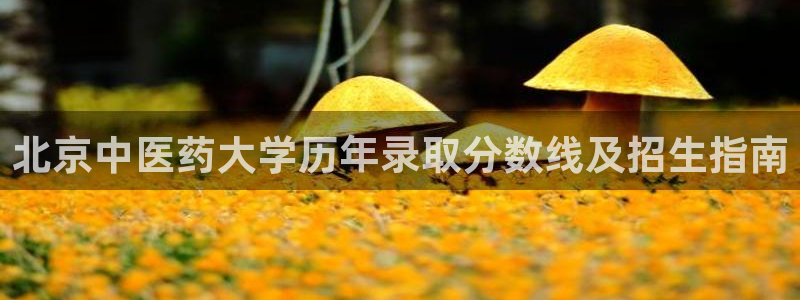 ag老队友