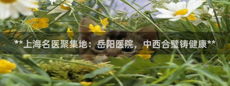 9游会旗舰
