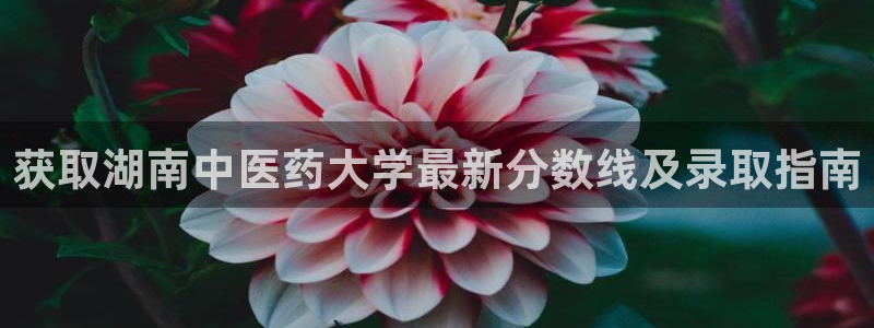 九游会登录网站吗