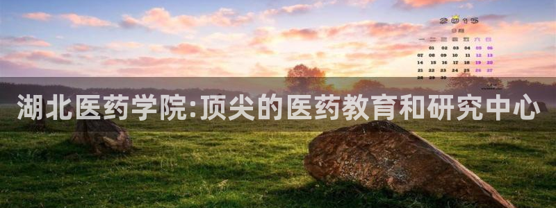 J9九游会俱乐部官方