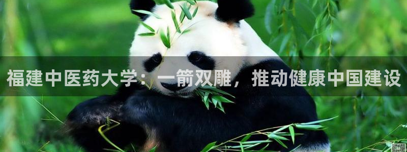 九游会官网真人认证吗安全吗