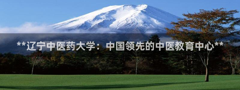 九游会网站打不开了