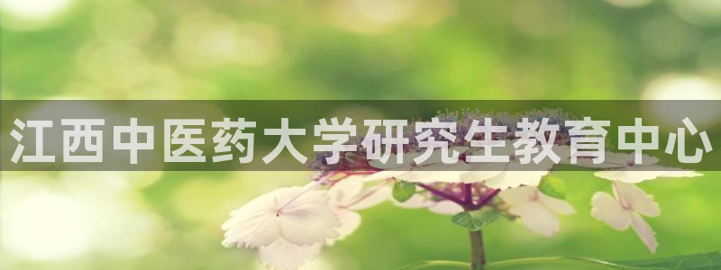 j9九游会真人游戏第一