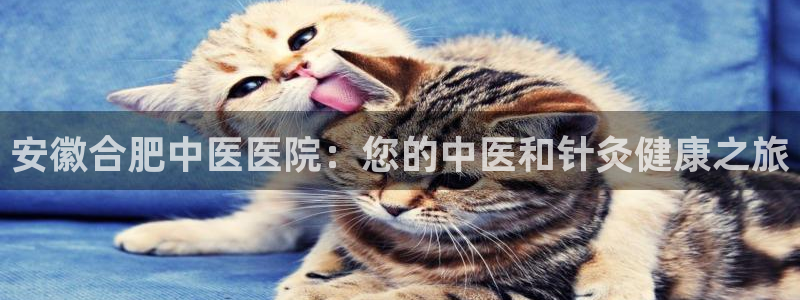 九游会中国入口嘛