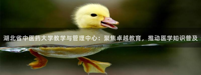 九游会老哥必备的交流社区九