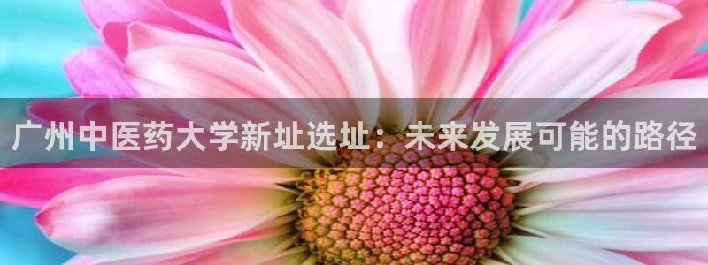 j9九游会平台