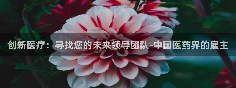 九游j9国际站