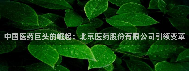 九游会官网老哥俱乐部