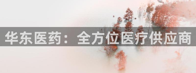 j9九游会游戏