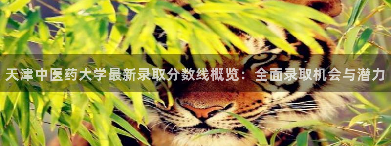 九游会j9官网网站