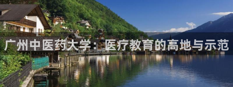 ag老队友