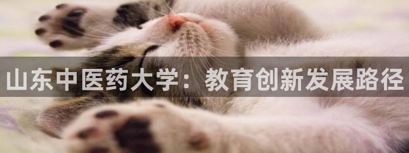 九游会官网登入首页