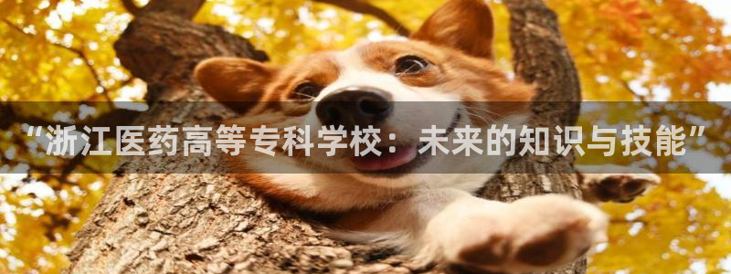 九游会是真的吗