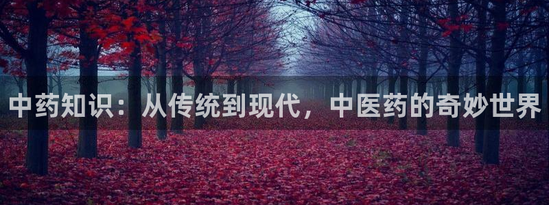 九游会平台王一博泰国 