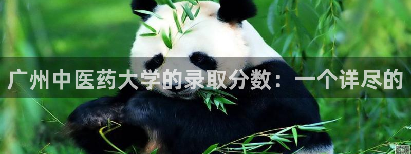 九游会ag入口：广州 